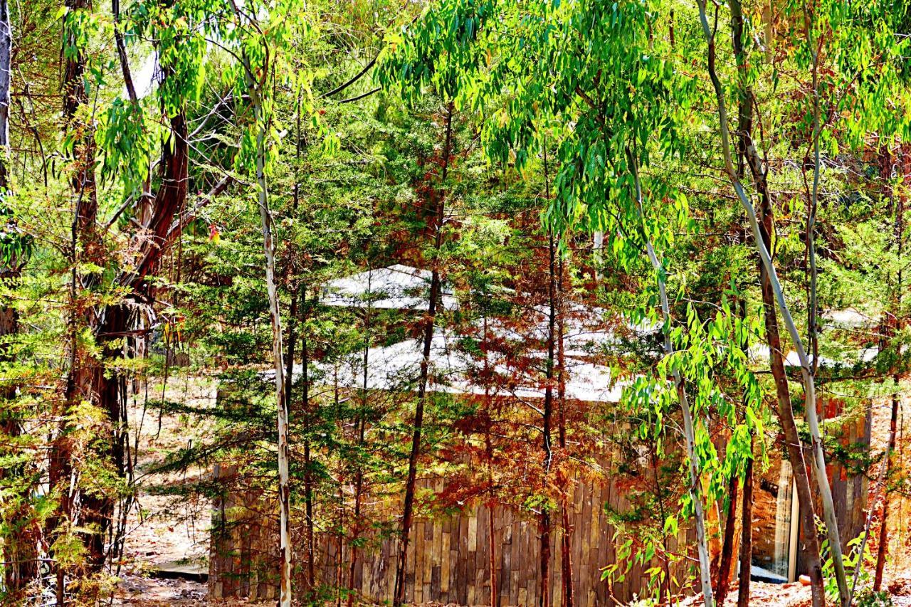Herdade Clube Tiro Monfortinho Εξωτερικό φωτογραφία