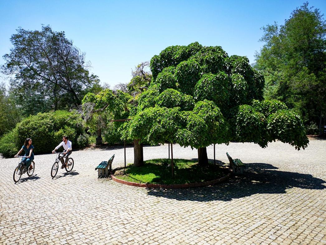Herdade Clube Tiro Monfortinho Εξωτερικό φωτογραφία